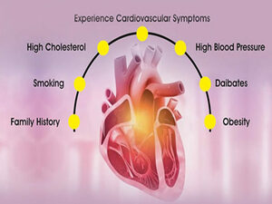 CardiologyKNOW MORE