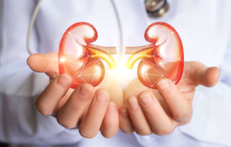 Kidney Stone Treatment in Bangalore