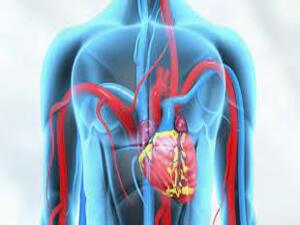 Vascular Surgery KNOW MORE